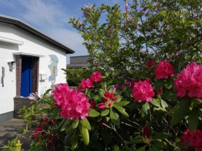 Ferienhaus Seepferdchen